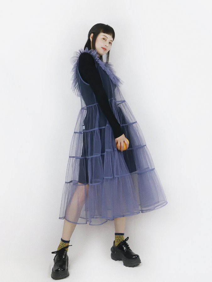 Mesh Sheer Tiered Dress_BDHL4635