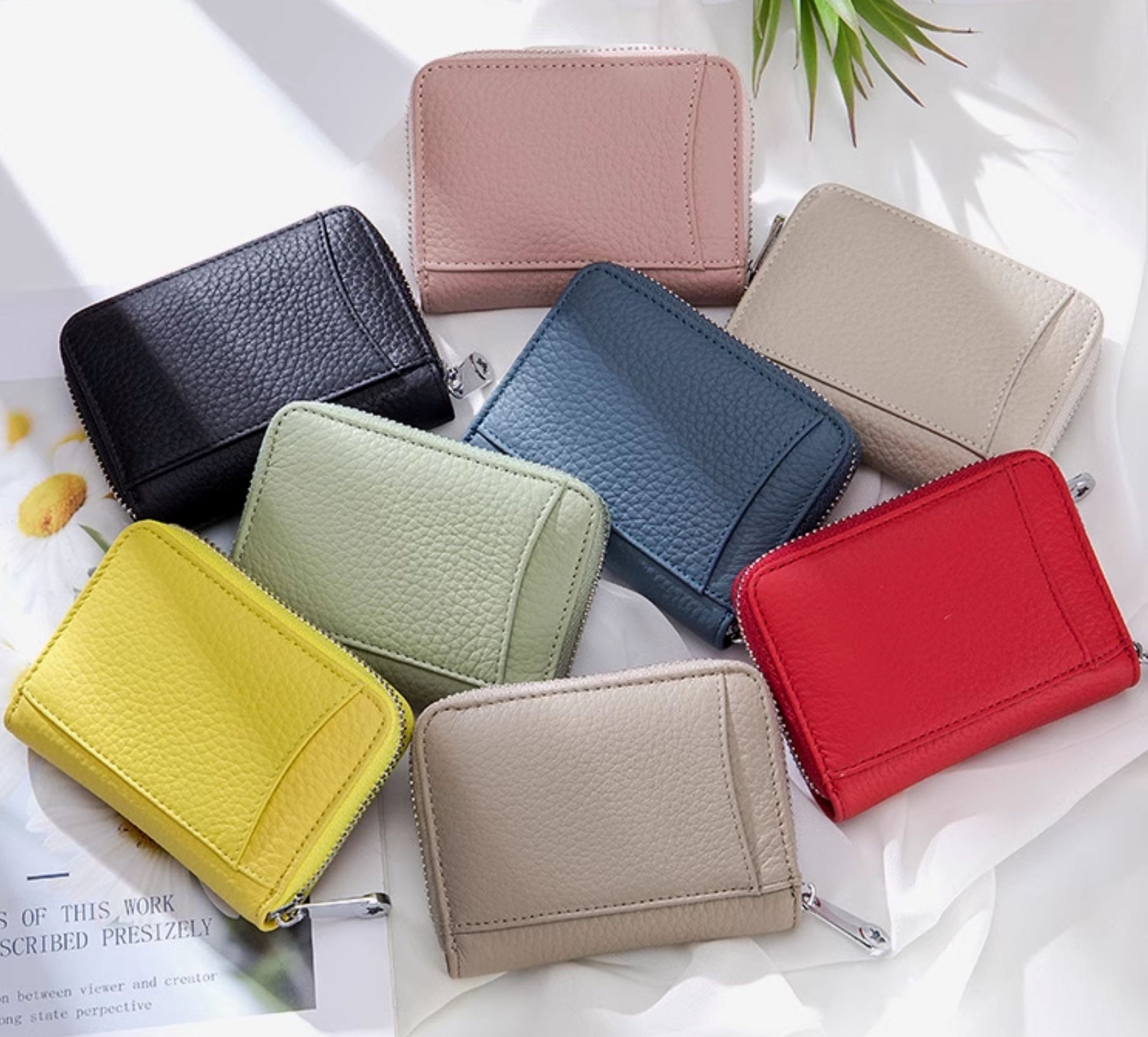 Simple Short Zipper Coin Purse_BDHL7828