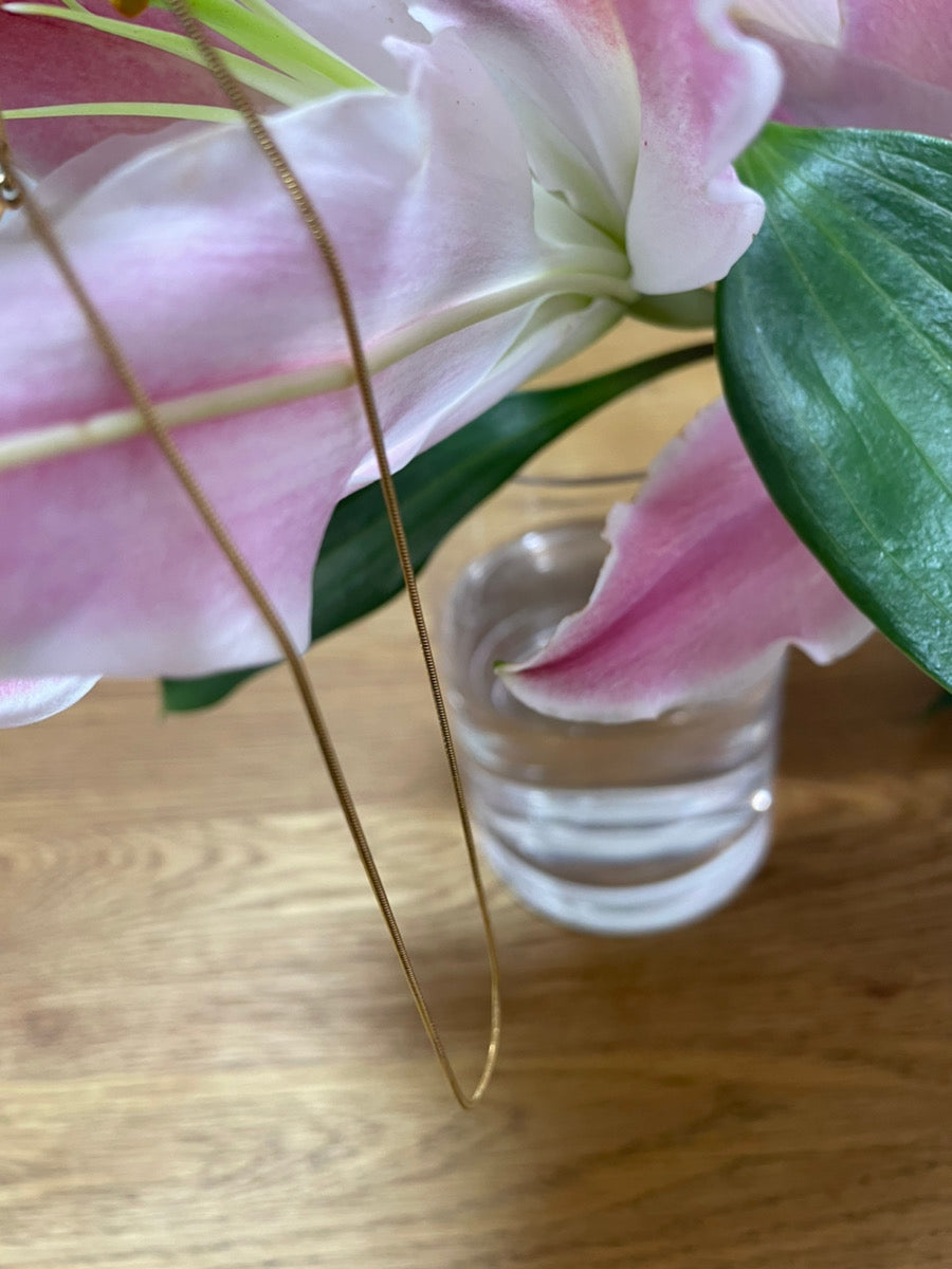 【即納】Nudie Snake Chain Necklace LCHK/N0004