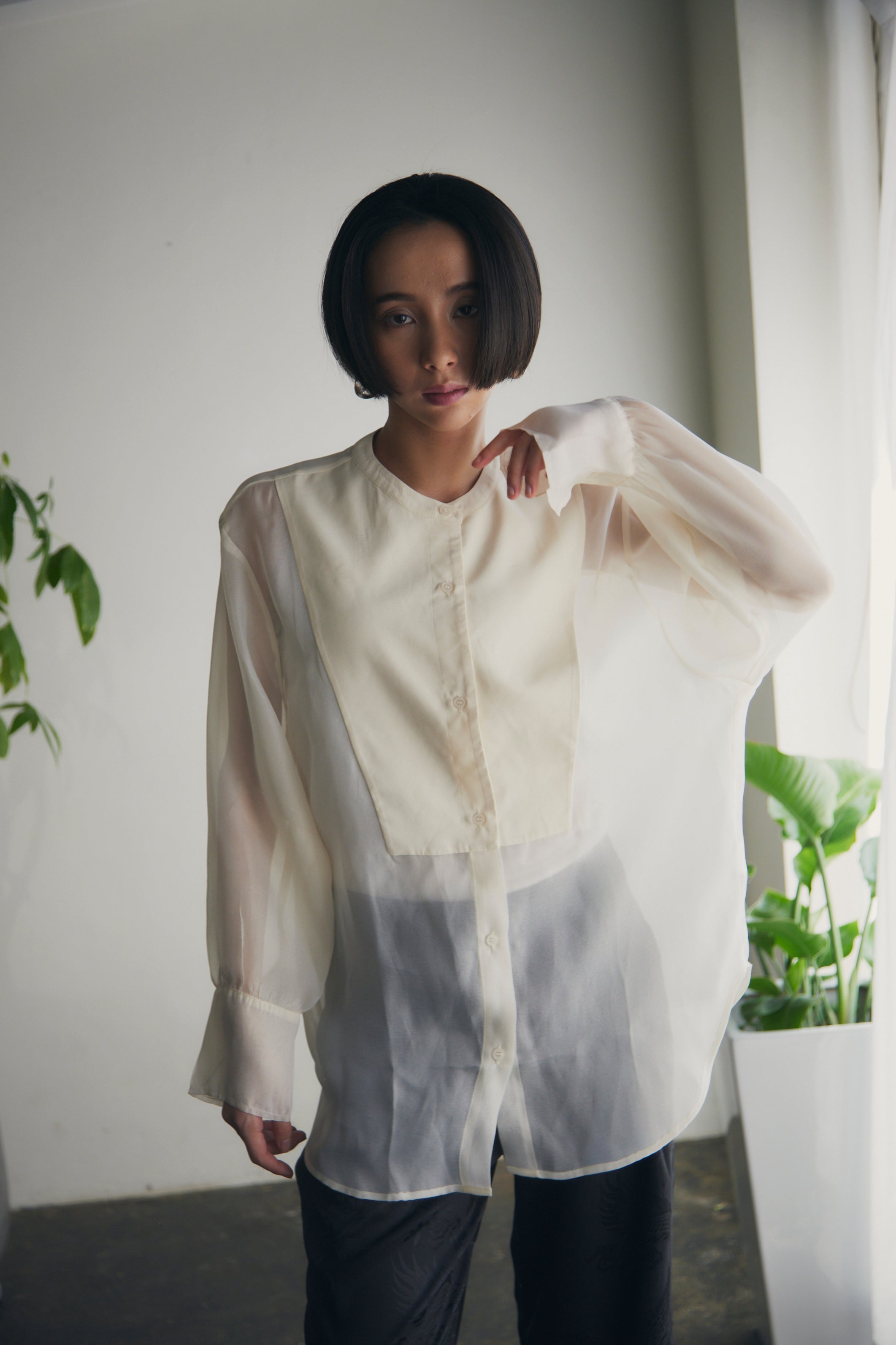 【即納】Band Collar Yoke Sheer Blouse_LCHK252LCHK253LCHK254LCHK255