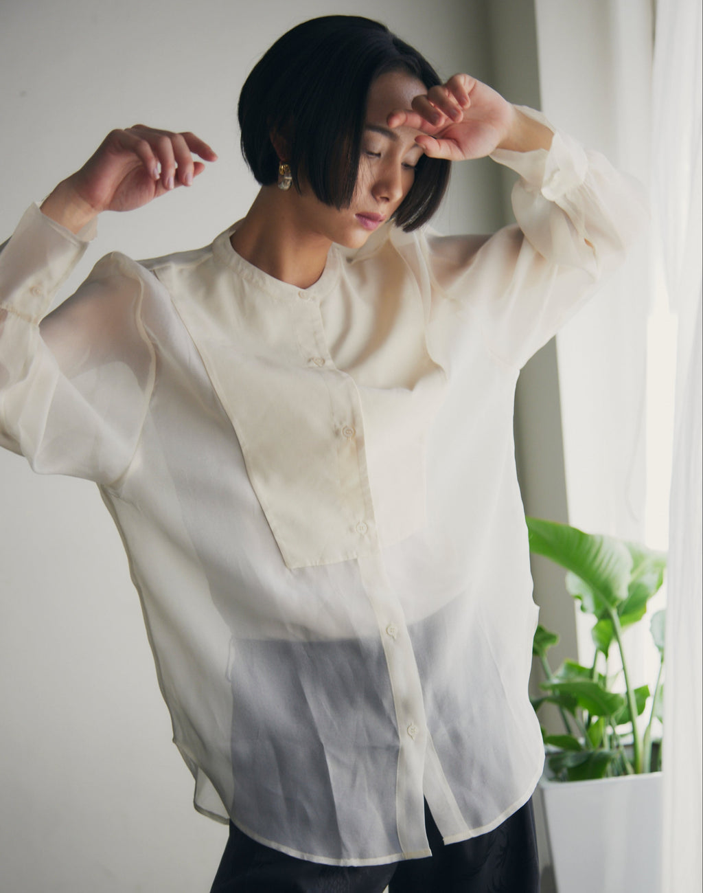 【即納】Band Collar Yoke Sheer Blouse_LCHK252LCHK253LCHK254LCHK255