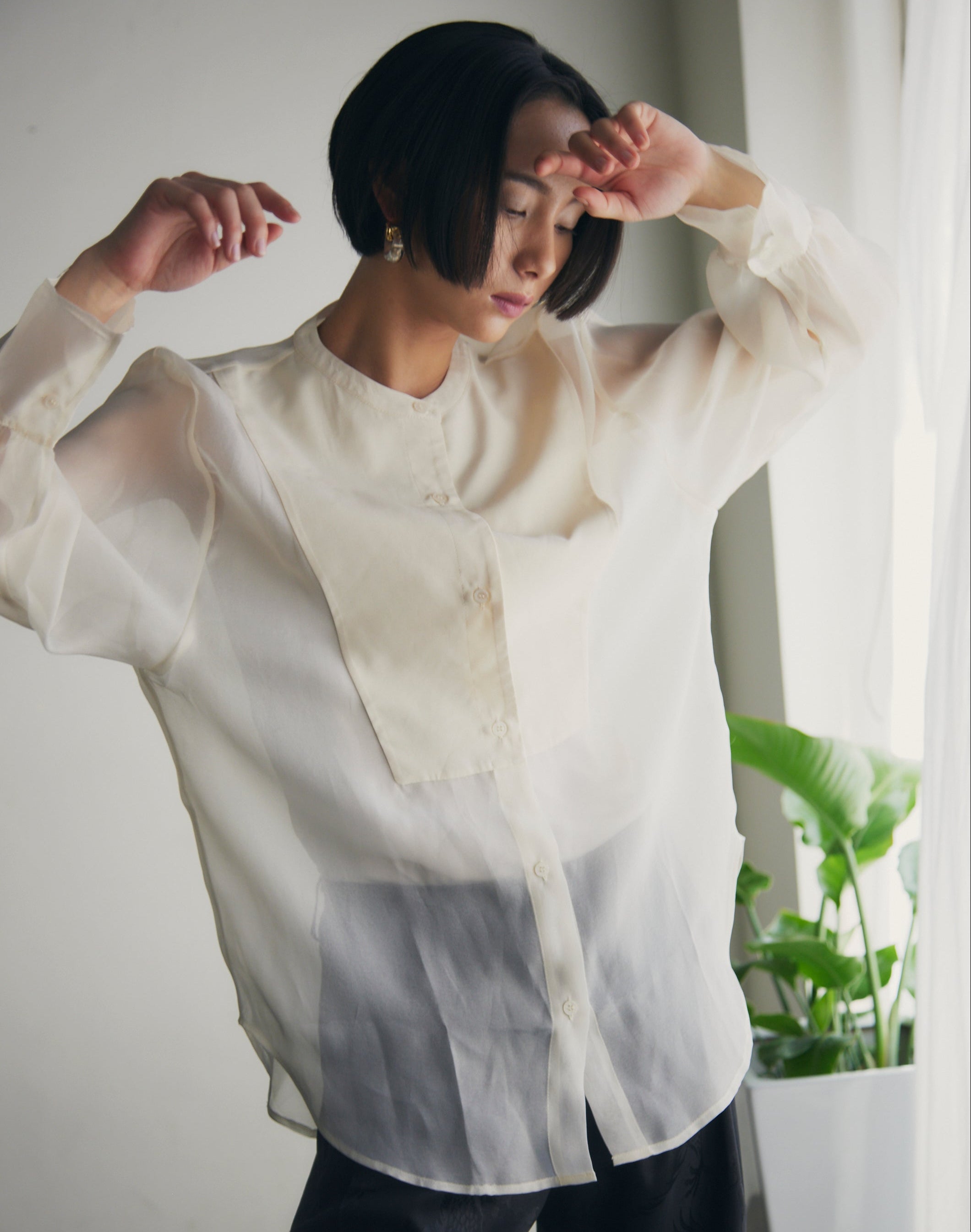 【即納】Band Collar Yoke Sheer Blouse_LCHK252LCHK253LCHK254LCHK255