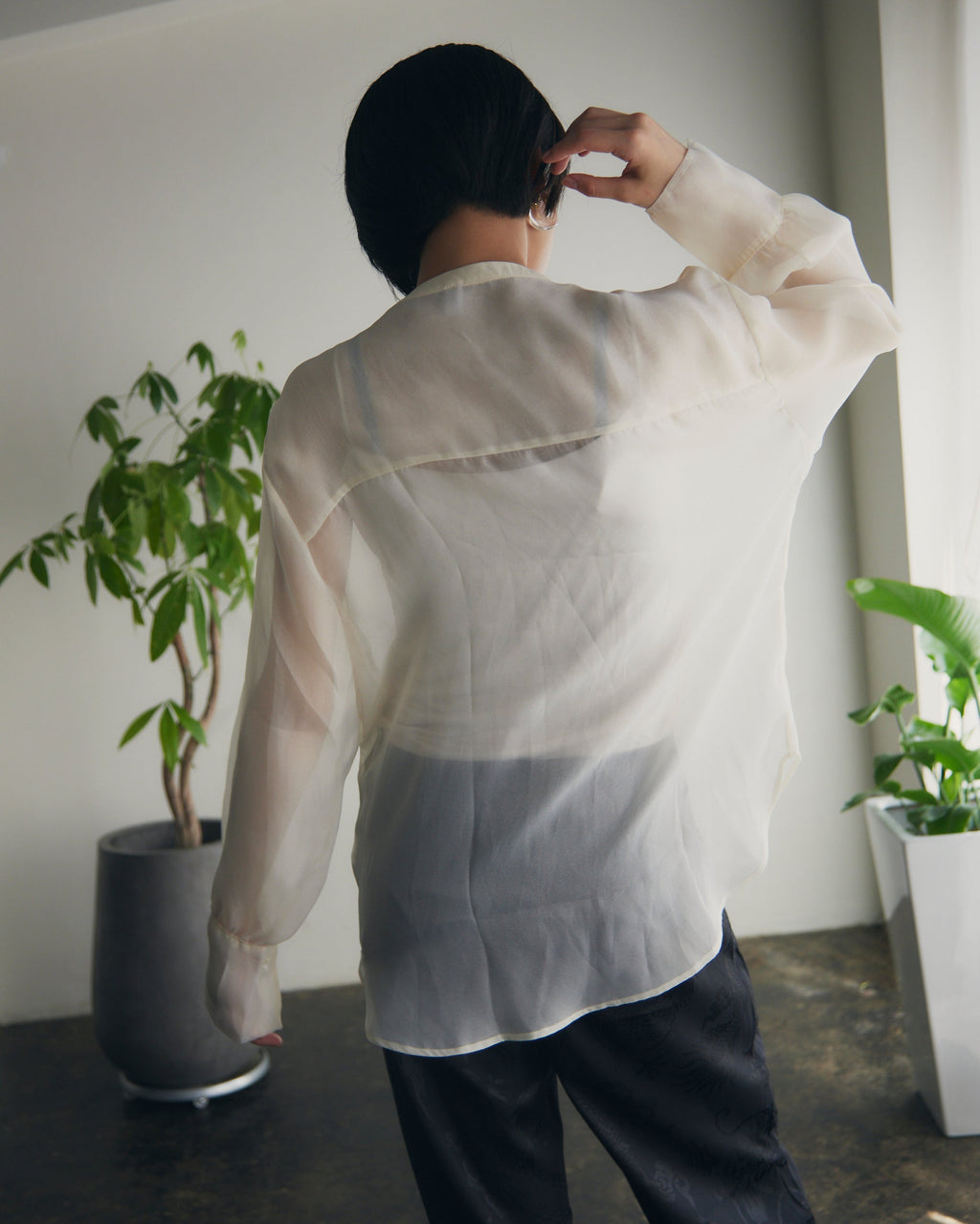 【即納】Band Collar Yoke Sheer Blouse_LCHK252LCHK253LCHK254LCHK255