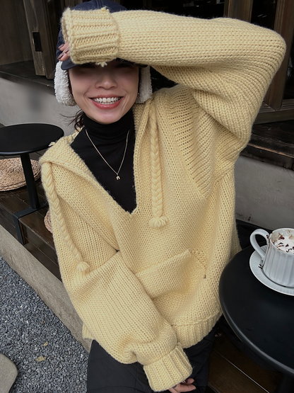 V-neck hooded thick sweater_BDHL5582