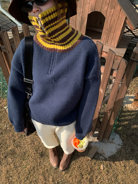 Striped high collar sweater_BDHL5584