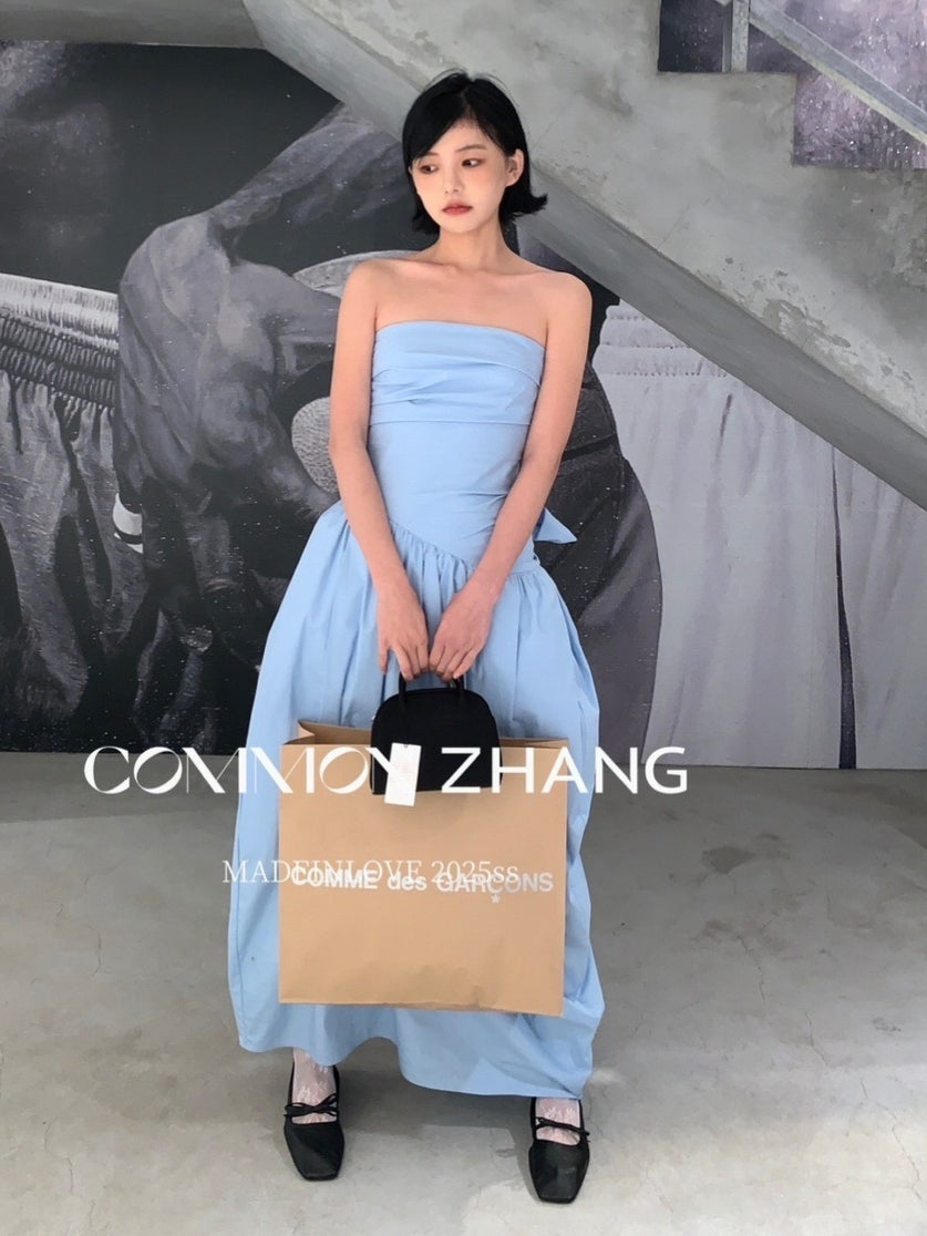 Ribbon A-Line Tube Top Dress_BDHL7565