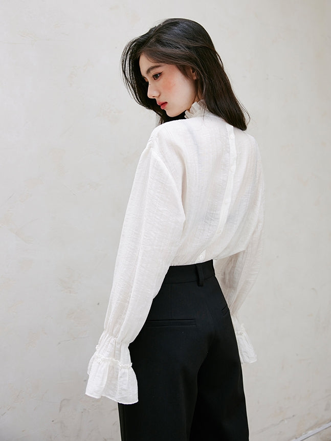 Ruffle High-Neck Sheer Blouse_BDHL6751