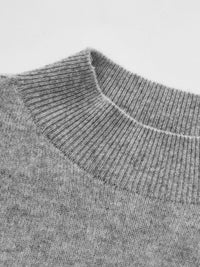 Half-Turtleneck Ribbed Knit_BDHL6543