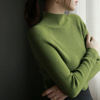 Turtleneck Knit Slim Top_BDHL5280