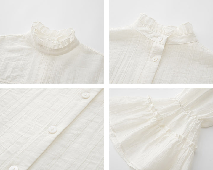 Ruffle High-Neck Sheer Blouse_BDHL6751