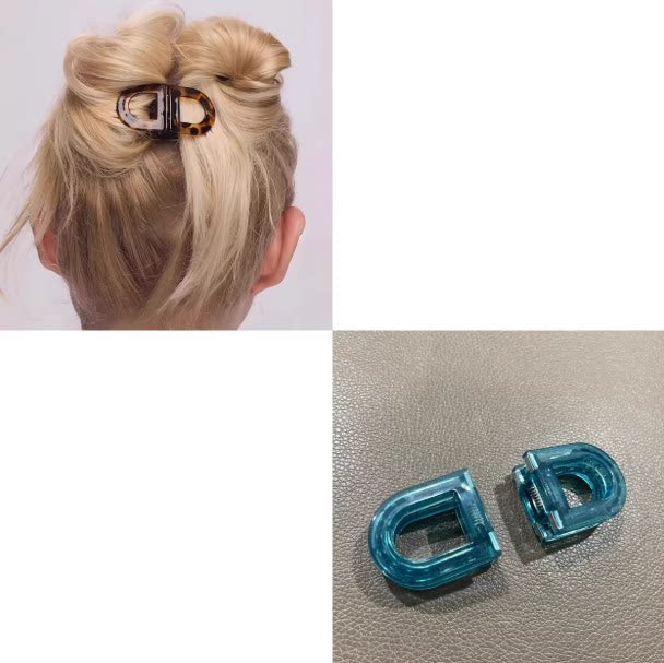 Tortoiseshell Hair Clip_BDHL8384