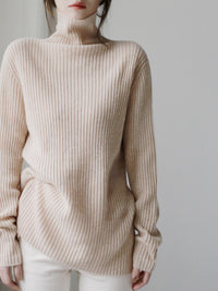 Relaxed High Neck Rib Knit_BDHL6720