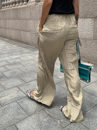 Thin Pleated Wide Leg Pants_BDHL6138