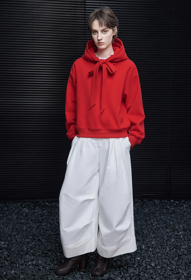 Drawstring Hooded Sweatshirt_BDHL7870