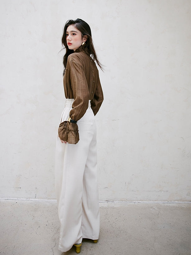 Ruffle High-Neck Sheer Blouse_BDHL6751