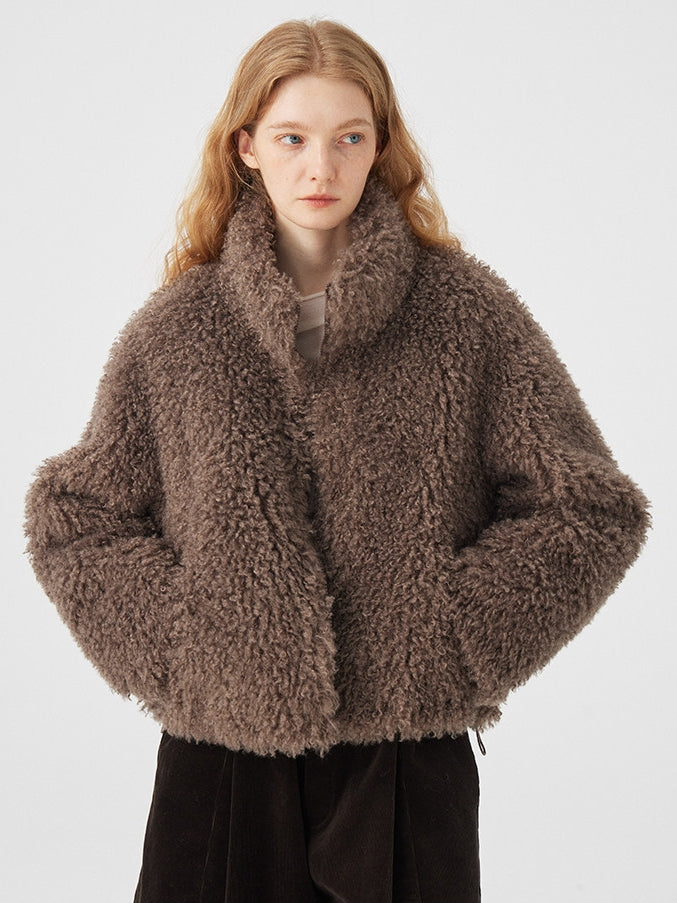 Fluffy Stand Collar Short Jacket_BDHL8114