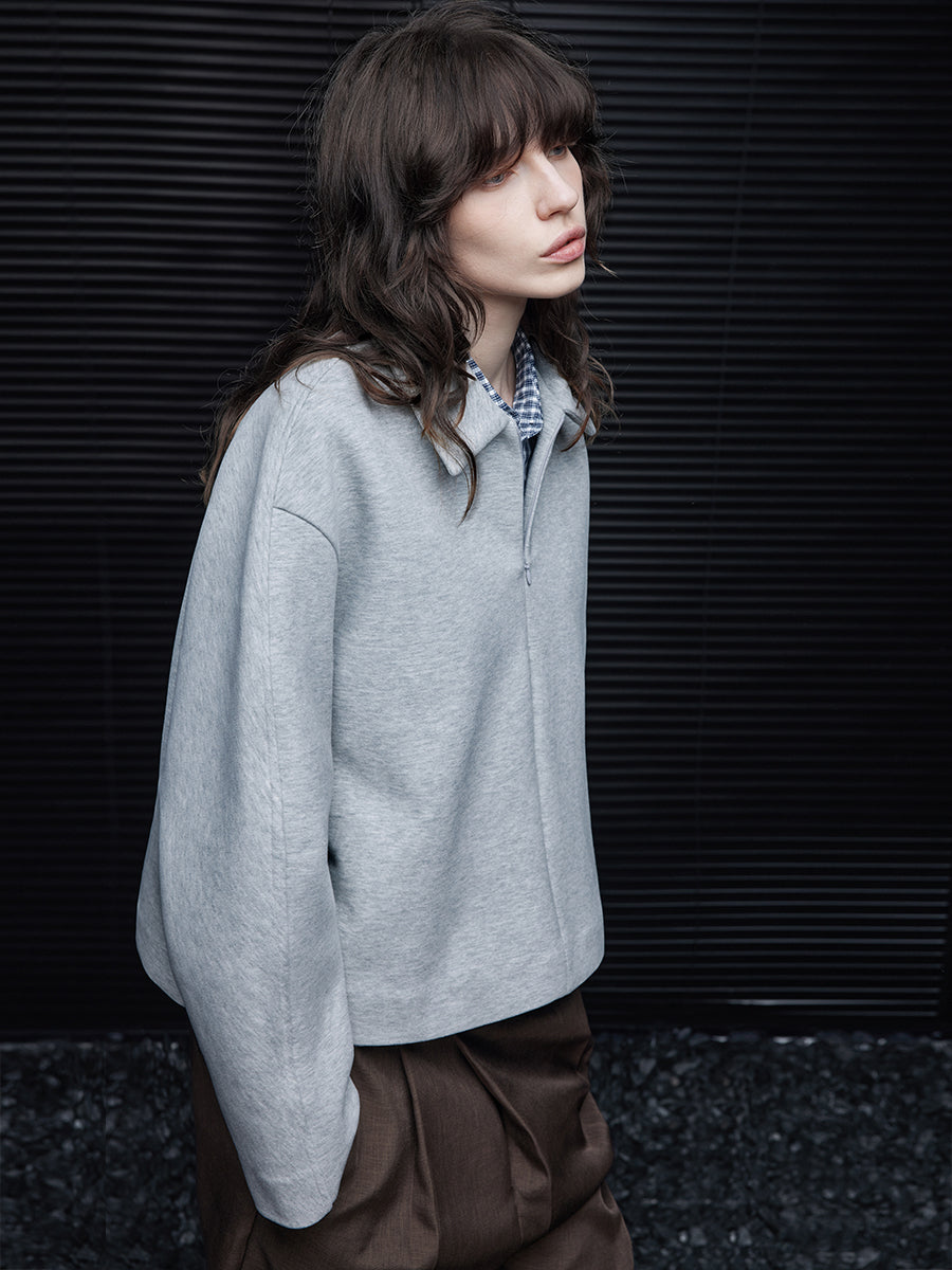 Gray Loose-Fit Short Sweatshirt_BDHL7793