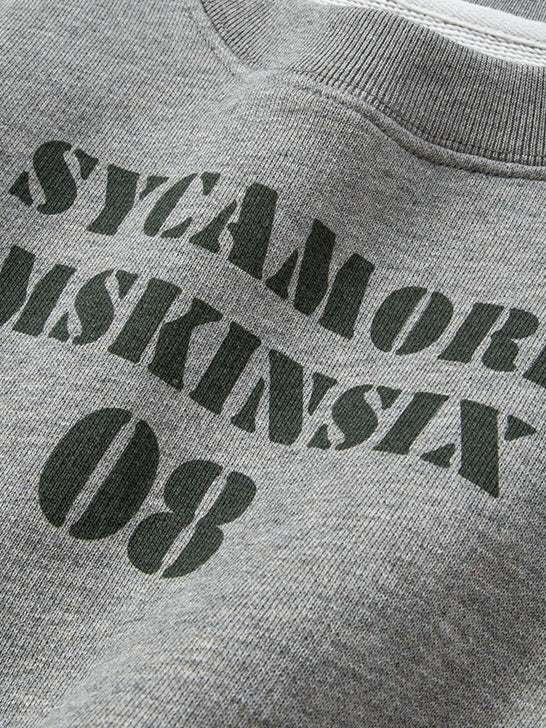 Embroidered Print Gray Sweatshirt_BDHL7842