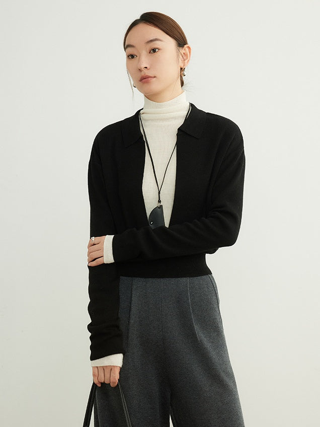 Deep V-Neck Collared Sweater_BDHL6554