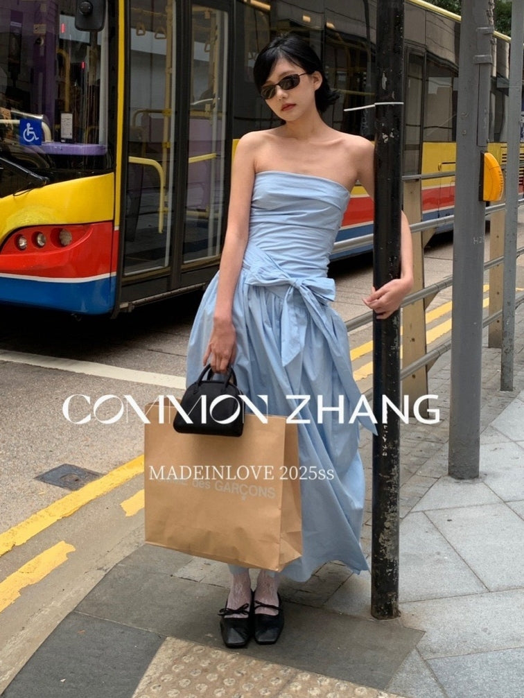 Ribbon A-Line Tube Top Dress_BDHL7565