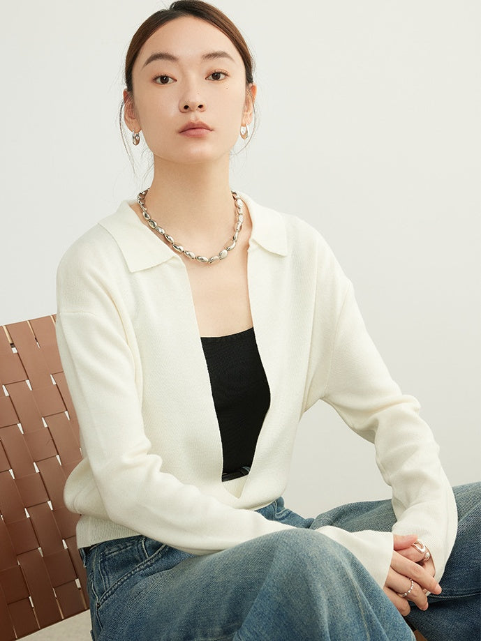 Deep V-Neck Collared Sweater_BDHL6554