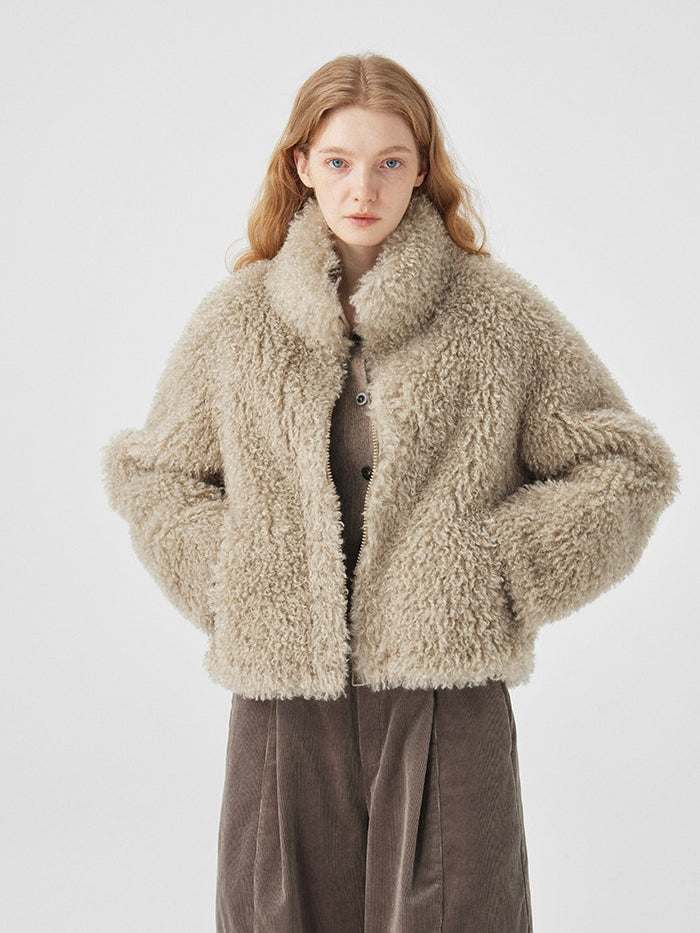 Fluffy Stand Collar Short Jacket_BDHL8114