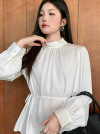 Stand Collar Tucked Blouse_BDHL6454