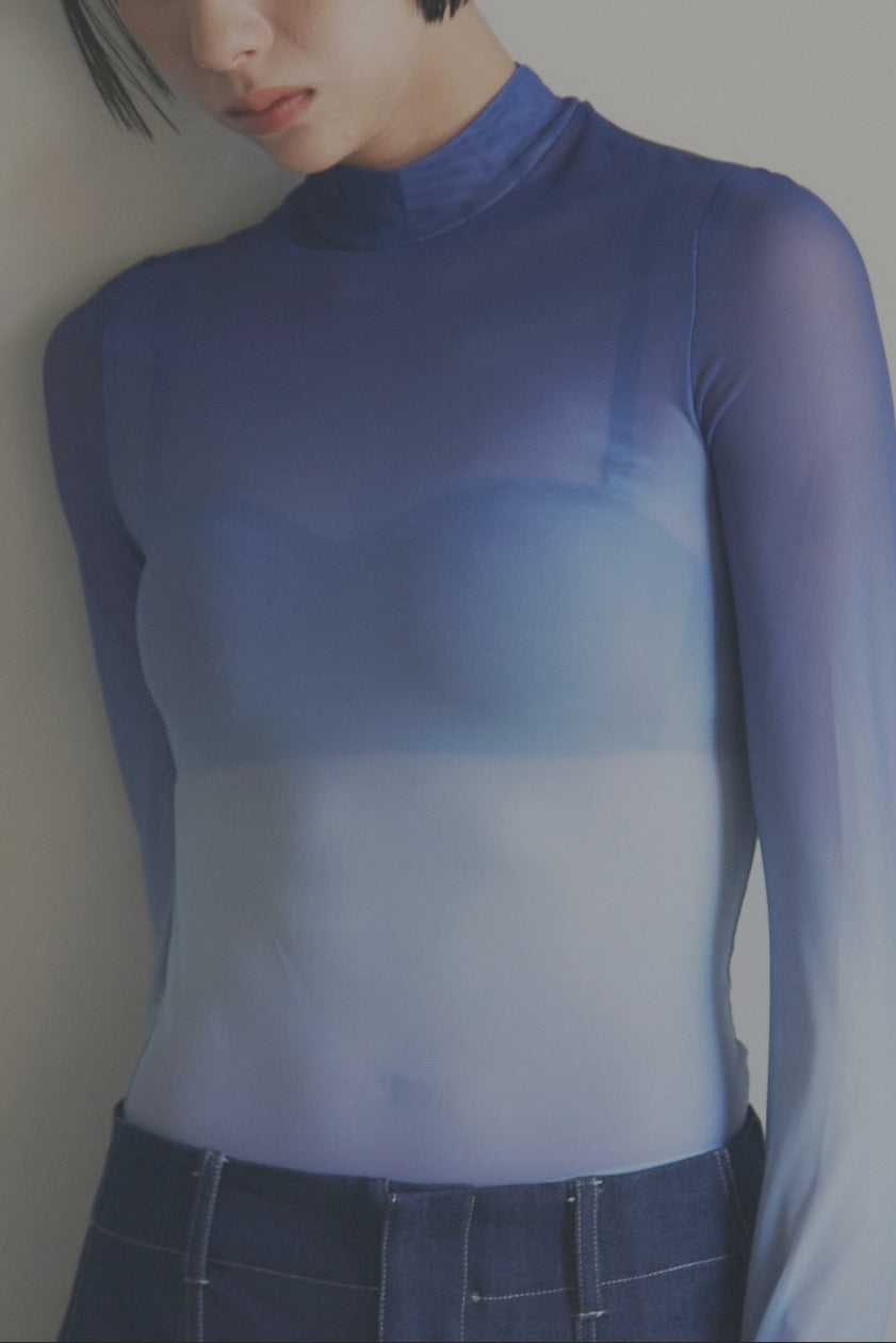 【First Come, First Served / Popular / In Stock】Gradient Sheer Turtleneck Top_HL3332/LCHK