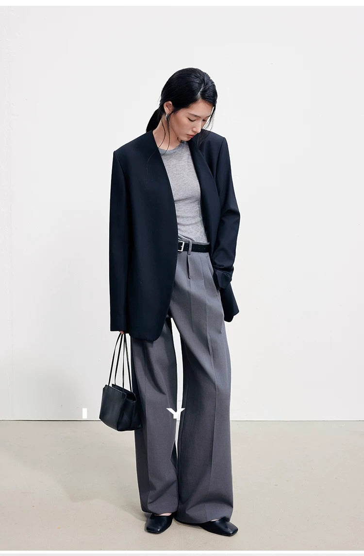Wide-Leg Pleated Pants_BDHL8394