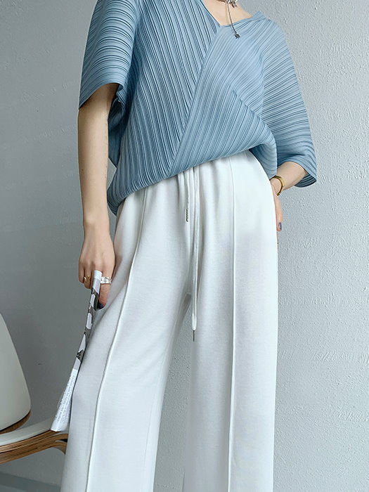Sheer Pleated Chiffon Blouse 9101