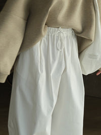 Wide Tuck Lantern Pants HL3838