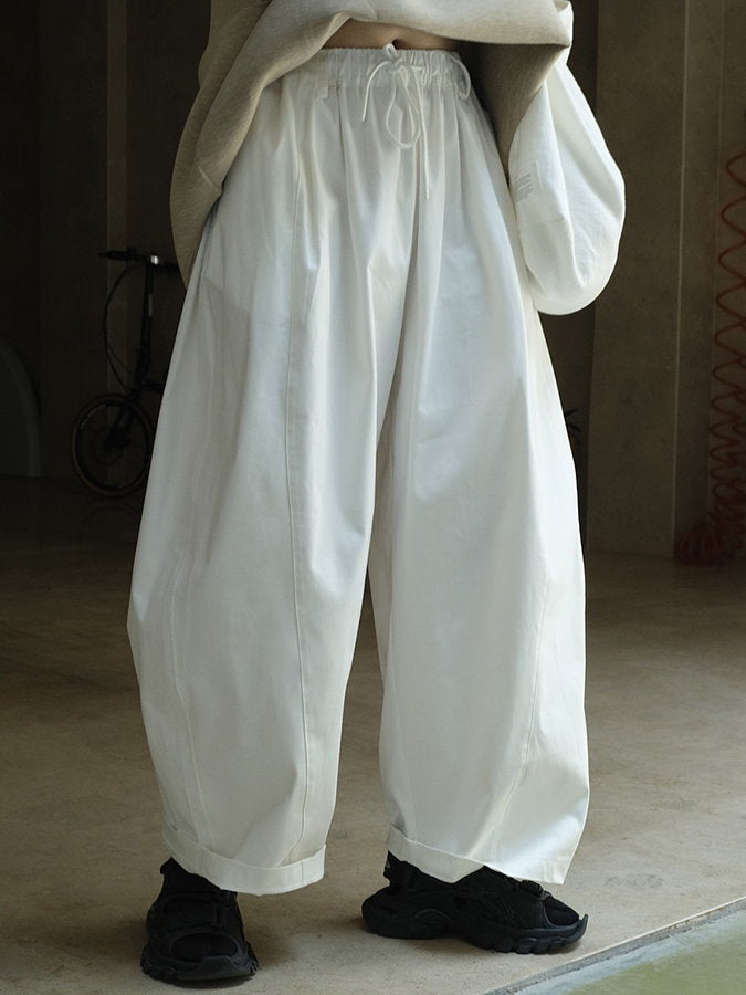 Wide Tuck Lantern Pants HL3838