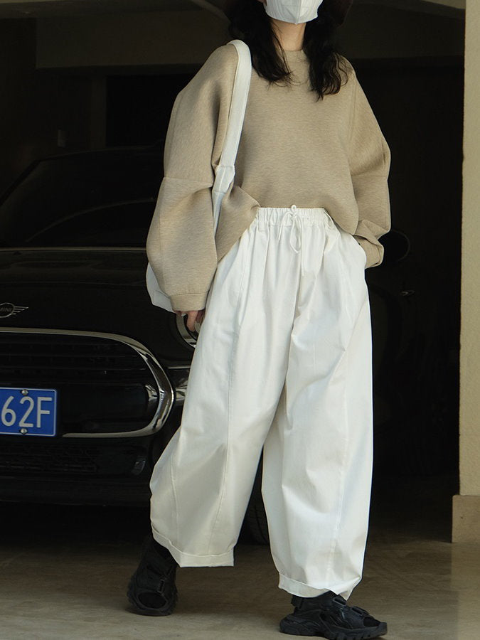 Wide Tuck Lantern Pants HL3838