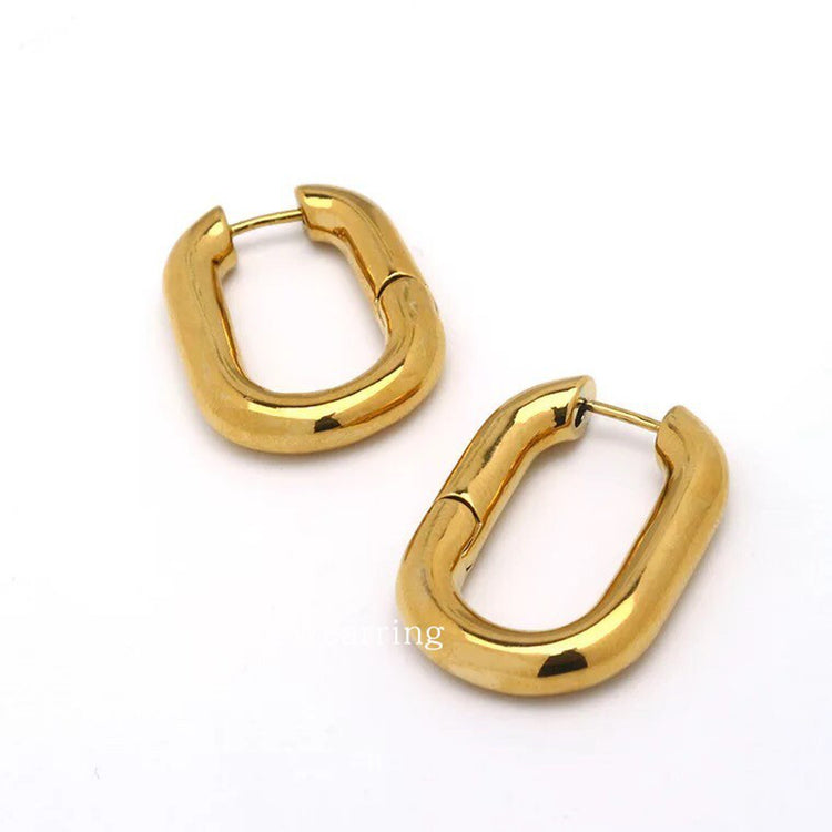 Ellipse earrings 5736