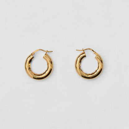 Circle Gold Earrings 5695