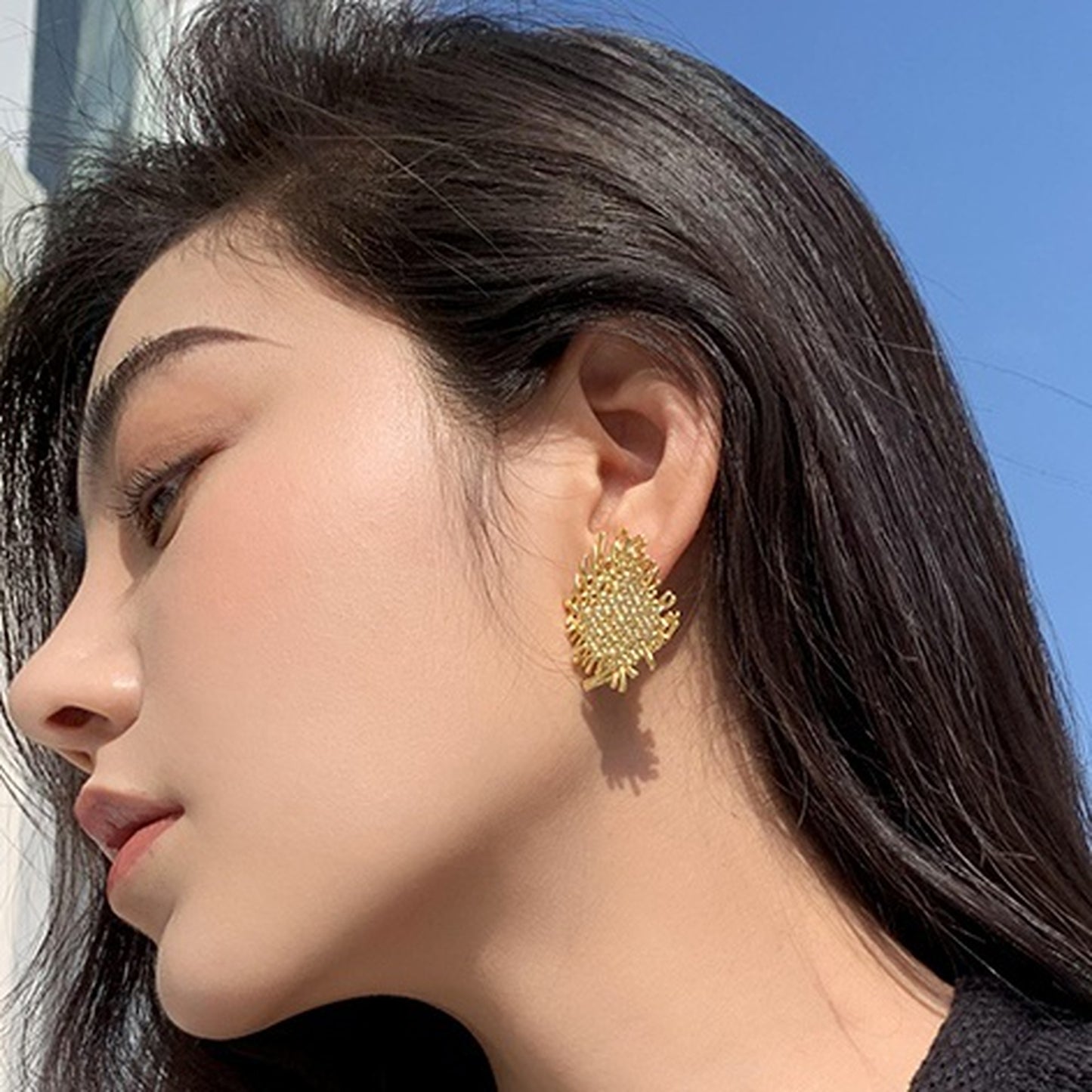 Mesh design earrings 5554
