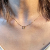 Horseshoe skin necklace N0002