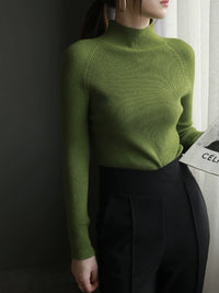 Turtleneck Knit Slim Top_BDHL5280