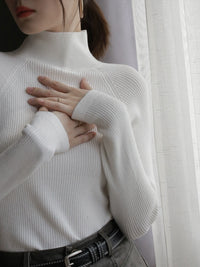 Turtleneck Knit Slim Top_BDHL5280