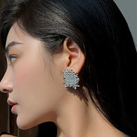 Mesh design earrings_5554